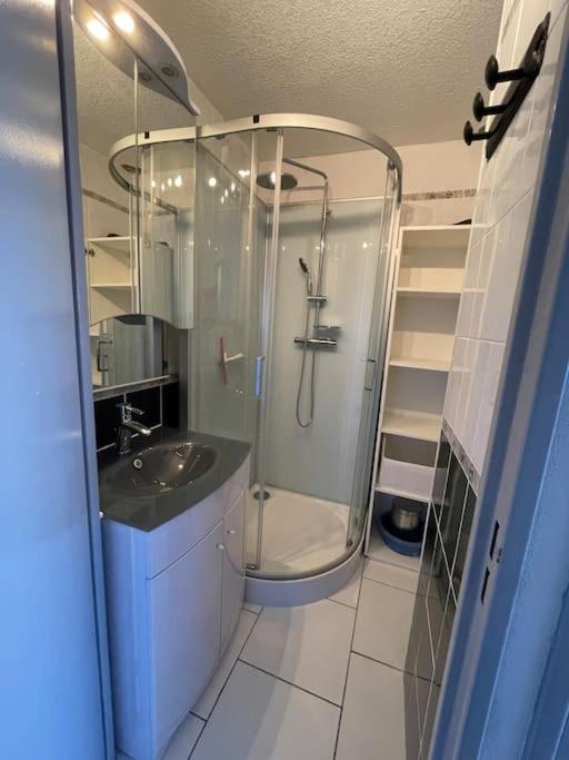Superbe Appartement 6 Personnes Avec Piscine Secteur Richelieu, A 400M De La Plage Et A 650M Du Centre Port アグド エクステリア 写真